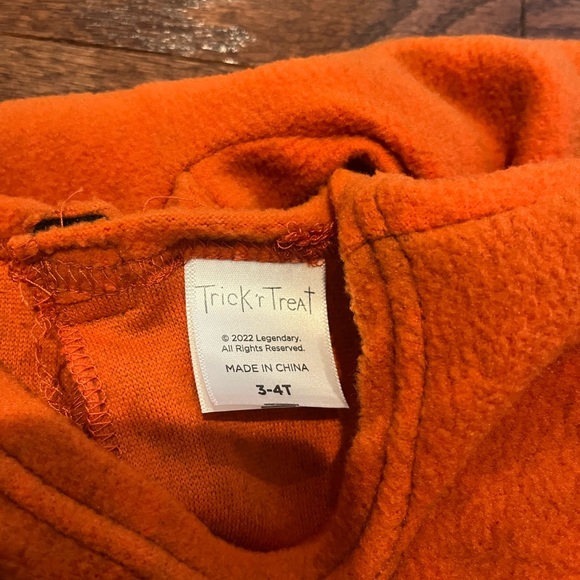 Spirit Sam Toddler Costume - Picture 5 of 12